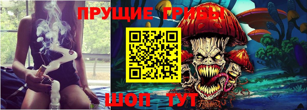 Псилоцибиновые грибы GOLDEN TEACHER  Галлюциногенные грибы прущие грибы  Вязьма  Вход с VPN 