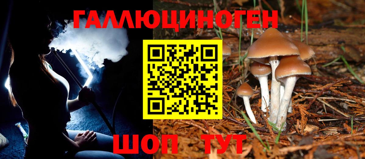 Псилоцибиновые грибы MAGIC MUSHROOMS Вязьма
